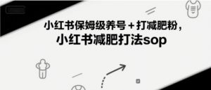 小红书保姆级养号+打减肥粉,小红书减肥打法sop-聊项目