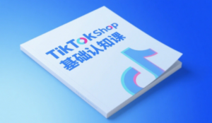 梨子姐姐·TikTok小店基础认知课-聊项目