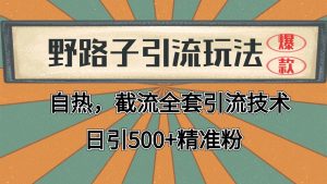 2024首发野路子引流玩法截流自热全平台打法,全自动引流【日引2000+精准客户】-聊项目