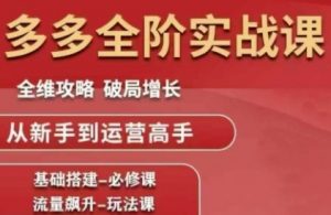 拼多多全阶实战课程,全维攻略,破局增长,从新手到运营高手-聊项目