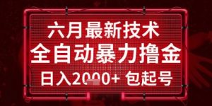 六月最新技术全自动暴力撸金,稳定日入2k+包起号,长期稳定【揭秘】-聊项目