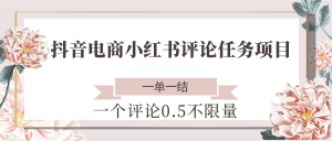 抖音电商小红书评论任务项目，一个评论0.5，一单一结 不限量-聊项目
