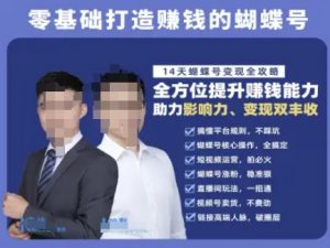 蝴蝶号专栏-视频号运营教程，零基础打造挣钱的蝴蝶号，14天蝴蝶号变现全攻略-聊项目