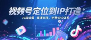 视频号定位到IP打造:账号搭建-内容运营-直播变现,完整知识体系-聊项目