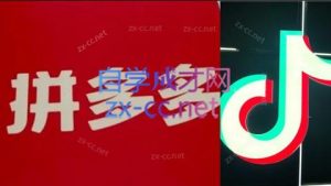 老陶电商·拼多多+抖音小店无货源开店(更新6月)-聊项目