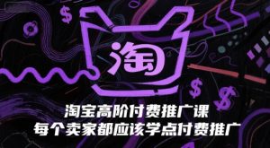 淘宝高阶付费推广课，每个卖家都应该学点付费推广-聊项目