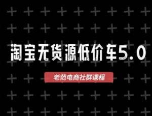淘宝无货源2025VIP教程,最新的淘宝无货源课程,1688代发,蓝海选品,零成本创业首选-聊项目