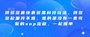 拼多多最快最多黑科技玩法，拼多多起量并不难，难的是没有一套完整的sop流程，一起爆单(更新6月)-聊项目