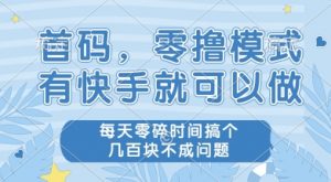 首码零撸项目,有快手就可以做,每天业务时间搞个几张不是问题【揭秘】-聊项目