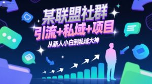 某联盟社群,引流+私域+项目,从新人小白到私域大神-聊项目