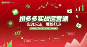 拼多多实战运营课，实时玩法，爆款打造，改销量，补大单，AB单，直播等(更新2025月)-聊项目
