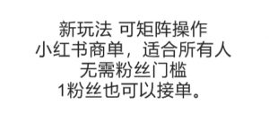 可矩阵操作,小红书商单新玩法,适合所有人,无需粉丝门槛,1粉丝也可以接单-聊项目