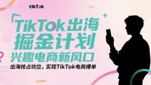 TikTok出海掘金计划,兴趣电商新风口,出海抢占坑位,实现TikTok电商爆单-聊项目