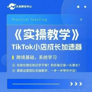 大卖家孵化中心TikTok实操课,TikTok小店成长加速器,跨境基础系统学习,一步一步带你开店-聊项目