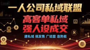 一人公司私域联盟,高客单私域,强人设成交,建私域 搞发售 广结盟 造势能-聊项目