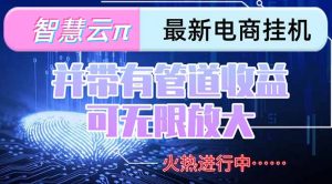 智慧云π电脑挂机单机每天收益300—500+ 并带有团队管道收益 可无限放大-聊项目
