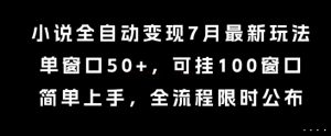 小说全自动变现7月玩法，单窗口50+，可挂100窗口，简单上手，全流程限时公布【揭秘】-聊项目