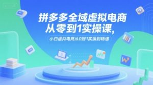拼多多全域虚拟电商从零到1实操课，小白虚拟电商从0到1实操到精通-聊项目