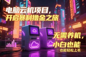电脑云机项目 暴力撸金玩法，不需要养机 配置没有要求 单机100个窗口一…-聊项目