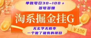 淘系掘金挂G项目,单账号日收益30~100+,多号多得,一个做了就有的项目【揭秘】-聊项目