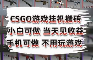 CSGO游戏挂G搬砖，小白纯手机即可操作，不用电脑打游戏，日入3张+，副业网创项目【揭秘】-聊项目