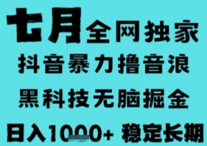 7月最新风口抖音无人直播撸音浪，长期稳定，非短期，全自动运行，低门槛无脑，日入1k+【揭秘】-聊项目
