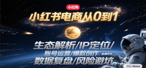 小红书电商从0到1：生态解析/IP定位/ 账号运营/爆款创作/直播带货/数据复盘/风险避坑-聊项目