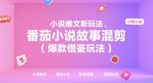 小说推文新玩法，番茄小说故事混剪(爆款借鉴玩法)-聊项目