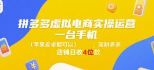拼多多虚拟电商实操运营，一台手机(苹果安卓都可以)，深耕多多店铺日收4位数-聊项目