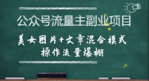 公众号流量主副业项目,美女图片+文章混合模式操作流量爆棚-聊项目