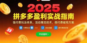 拼多多盈利实战指南,强付费玩法,活动爆流技术,微付费破局方案(更新7月-聊项目