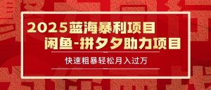 2025 最新闲鱼蓝海暴利项目 快速粗暴单号日入1000+,保姆级教程-聊项目