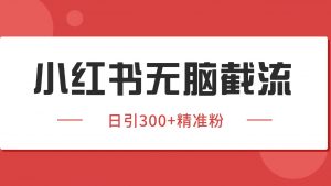 小红书截流同行客源,独家野路子获客玩法 日引200+暴力获客-聊项目