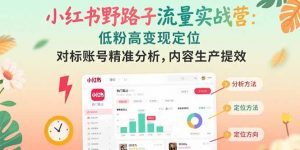 小红书野路子流量实战营:低粉高变现定位 对标账号精准分析 内容生产提效-聊项目