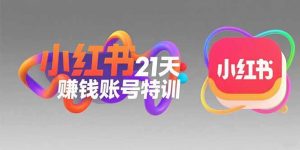 小红书21天赚钱账号特训:黄金定位技巧,高转粉文案创作,科学引流策略-聊项目