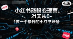 小红书涨粉变现营,21天从0-1做一个挣钱的小红书账号-聊项目