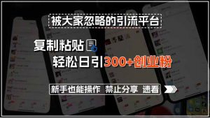 被大家忽略的引流平台,复制粘贴轻松日引300+创业粉,新手也能操作,禁…-聊项目