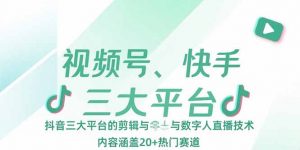 视频号、快手、抖音三大平台的剪辑与数字人直播技术,内容涵盖20+热门赛道-聊项目