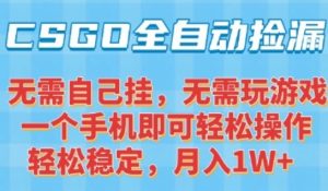 CSGO自动捡漏项目,最新独家玩法,一个手机可操作,新手小白轻松月入1W+,操作简单易上手【揭秘】-聊项目