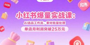 小红书爆量实战课:AI选品工作流,素材批量处理,单店月利润突破25万元-聊项目