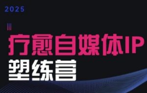 2025治愈自媒体IP训练营,专为疗愈领域从业者打造-聊项目