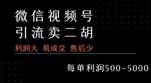 视频号卖二胡教程,利润大 易成交 售后少,一单利润5张+-聊项目