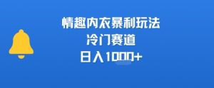 情趣内衣暴利玩法,冷门赛道,日入1k+-聊项目