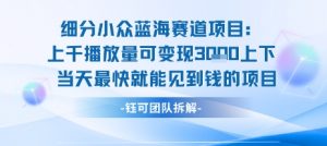 小众蓝海赛道项目:当天变现1k+适合新手操作 +适合长期玩-聊项目