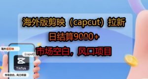 海外版剪映(capcut)拉新,日结算1k+,市场空白,风口项目-聊项目