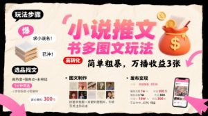 小说推文小红书多图文玩法,简单粗暴,万播收益3张-聊项目