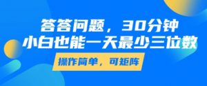 答答问题,30分钟,小白也能一天最少也有三位数,操作简单-聊项目