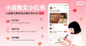 小说推文小红书高转化引导方法实操课,小说推文高效且正确引导方法-聊项目
