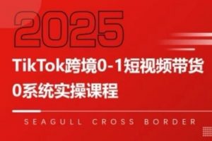 TikTok跨境0-1短视频带货,系统拆解TikTok跨境带货全链路,实现跨境可持续盈利-聊项目