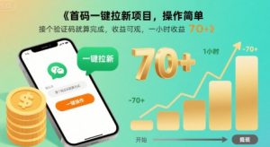 首码一键拉新项目,操作简单,接个验证码就算完成,收益可观, 一小时收益70+【揭秘】-聊项目